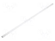 LED lamp; G13; 230VAC; 2400lm; 24W; 270°; 6000K; CRImin: 80; 30pcs. VIRONE