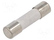 Fuse: fuse; 16A; 250VAC; medium time-lag; ceramic,cylindrical ESKA