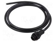 Cable: for sensors/automation; PIN: 4; Len: 2m; plug; 400V; 12A; IP67 BINDER