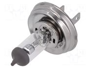 Filament lamp: automotive; P45t; transparent; 24V; 75/70W; LLB LUCAS