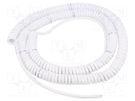 Wire: coiled; 2x0.22mm2; unshielded; PUR; white; 300V; 1m; 4m SIMECH