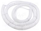 Wire: coiled; 5x0.22mm2; unshielded; PUR; white; 300V; 1.5m; 6m SIMECH