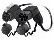 Cable: eMobility; 1x0.5mm2,3x6mm2; 250V; 8kW; IP44; single-phase PHOENIX CONTACT