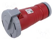 Connector: AC supply 3-phase; plug; female; 32A; 415VAC; IP&S; IP67 AMPHENOL