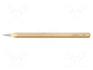 Pointed chisel; L: 300mm; Size: 16mm RENNSTEIG