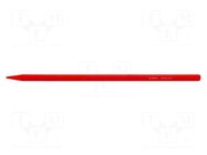 Pointed chisel; L: 800mm; Size: 20mm RENNSTEIG