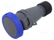 Connector: AC supply 3-phase; plug; female; 32A; 250VAC; IP&S; IP67 AMPHENOL