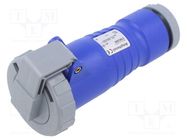 Connector: AC supply 3-phase; plug; female; 16A; 250VAC; IEC 60309 AMPHENOL