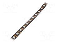 Programmable LED tape; RGBW; 5050; LED/m: 60; 12mm; black PCB; IP20 IPIXEL LED