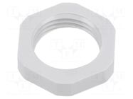 Nut; NPT1/2"; polyamide; light grey; Thread: inch,NPT; with flange LAPP