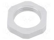 Nut; NPT1/2"; polyamide; light grey; Thread: inch,NPT; with flange LAPP