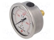 Glycerin manometer; 0÷250bar; 63mm; G 1/4",rear connection PNEUMAT