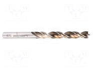 Drill bit; for wood; Ø: 4mm; L: 75mm; high speed steel; blister ALPEN-MAYKESTAG