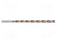 Drill bit; for wood; Ø: 10mm; L: 250mm; high speed steel; blister ALPEN-MAYKESTAG