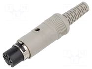 Connector: DIN; plug; female; PIN: 3; 180°; straight; for cable; grey HIRSCHMANN