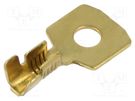 Tip: ring; M4; 1÷2.5mm2; crimped; for cable; straight; brass; bulk IMP