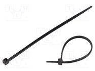 Cable tie; L: 100mm; W: 2.5mm; polyamide; black; 100pcs; -35÷85°C Goobay