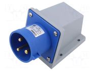 Connector: AC supply; socket; male; 32A; 230V; IEC 60309; IP44; blue TAIZHOU BAOLUDA ELECTRIC