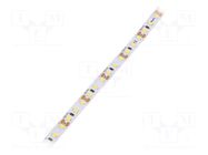 LED tape; white; 2835; LED/m: 120; 8mm; IP33; 120°; 9.6W/m; CRImin: 80 POS