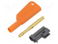 Connector: 4mm banana; 32A; 1kV; orange; gold-plated; screw STÄUBLI