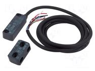 Safety switch: magnetic; Electr.connect: cable; 24VDC; 2m PIZZATO ELETTRICA