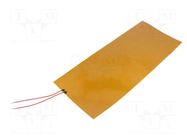 Heating foil; 36W; 0.25m; Body dim: 320x137x0.115mm; 12VDC 