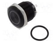 Switch: vandal resistant; Pos: 2; SPST-NO; 2A/36VDC; IP67; OFF-(ON) ONPOW