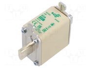 Fuse: fuse; 63A; 690VAC; aM; ceramic; NH00 DF ELECTRIC
