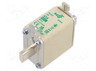 Fuse: fuse; 63A; 690VAC; aM; ceramic; NH00 DF ELECTRIC