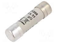 Fuse: fuse; 8A; 500VAC; 440VDC; gG; ceramic,cylindrical,industrial DF ELECTRIC