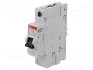 Circuit breaker; 240VAC; Inom: 10A; Poles: 1; plug-in SMISSLINE ABB