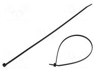 Cable tie; L: 260mm; W: 3.3mm; black; polyamide; 180N; Ømax: 65mm HELLERMANNTYTON