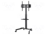 LCD/LED holder; free-standing handle; 35kg GOOBAY