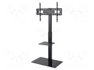 LCD/LED holder; free-standing handle; 40kg GOOBAY