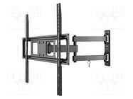 LCD/LED holder; black; 35kg GOOBAY
