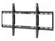 LCD/LED holder; black; permanent; 75kg GOOBAY