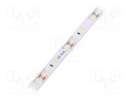 LED tape; white; 2835; 12V; LED/m: 60; 10mm; IP33; 120°; 12W/m POS