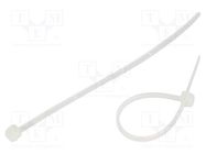 Cable tie; externally serrated; L: 100mm; W: 2.5mm; polyamide; 80N HELLERMANNTYTON