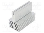 Heatsink: extruded; grilled; natural; L: 75mm; W: 40mm; H: 60mm FISCHER ELEKTRONIK