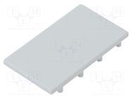 Cap for LED profiles; grey; 20pcs; ABS; LINEA20 TOPMET