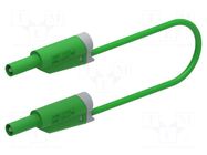 Test lead; 20A; banana plug 4mm,both sides; Urated: 1kV; Len: 1m ELECTRO-PJP