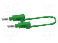 Test lead; 20A; banana plug 4mm,both sides; Urated: 600V; green ELECTRO-PJP