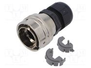 Connector: RJ45; plug; PIN: 8; RJF; for cable; Layout: 8p8c; IP68 AMPHENOL