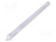 Lamp: LED; 30W; cool white; 120°; 5000K; CRImin: 80; -20÷40°C; IP65 TOSHIBA LED LIGHTING