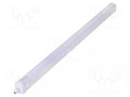 Lamp: LED; 40W; cool white; 120°; 5000K; CRImin: 80; -20÷40°C; IP65 TOSHIBA LED LIGHTING
