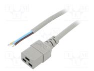 Cable; 3x1.5mm2; IEC C19 female,wires; PVC; Len: 3m; grey; 16A; 250V LIAN DUNG