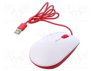 Accessories: optical mouse; optical mouse; USB A RASPBERRY PI