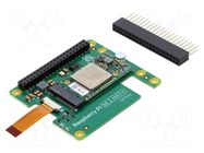 Accessories: expansion board; pin strips,M.2 2242 (M Key) RASPBERRY PI