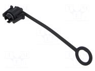 connector CAP-WAAMQPC1 AMPHENOL LTW