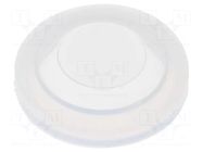 Cover; IP68; transparent; Ø24.1x6.2mm; GQ19H,LAS1GQH,ONPOW6119H ONPOW
